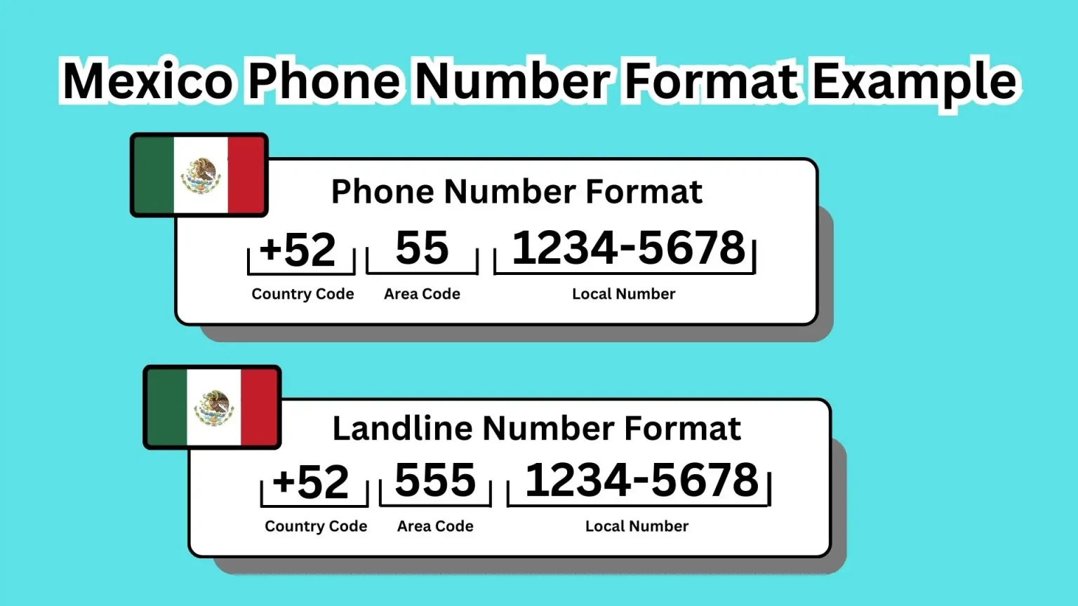 Mexico Phone Number Format Example
