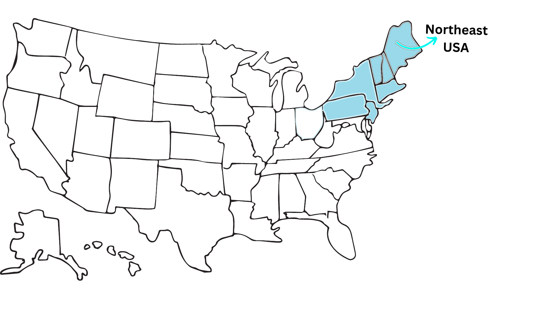 Northeast USA Area Codes