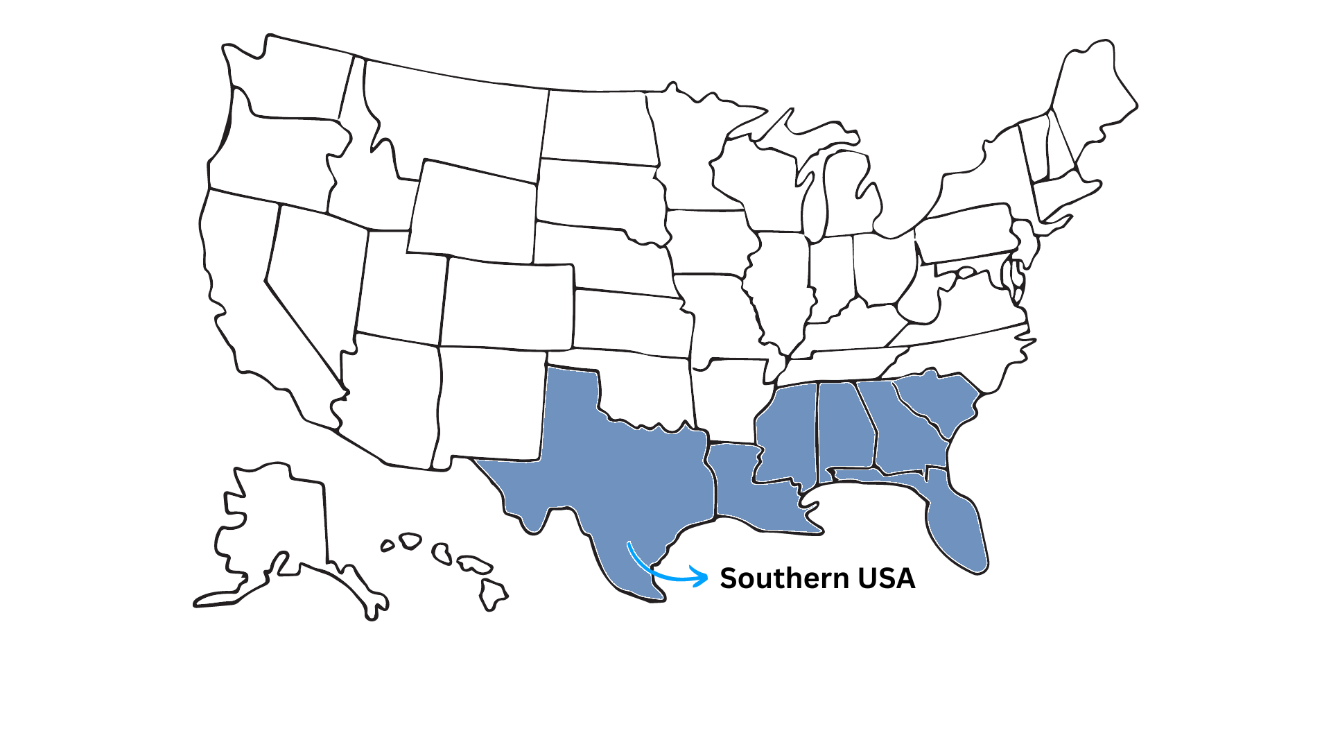 Southern USA Area Codes
